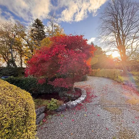 Little Wren Couples Retreat Daire Cartmel