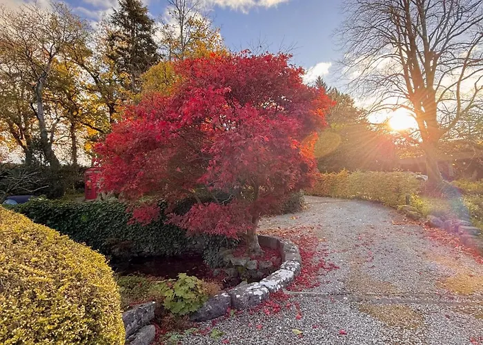 Little Wren Couples Retreat 公寓 卡特梅尔